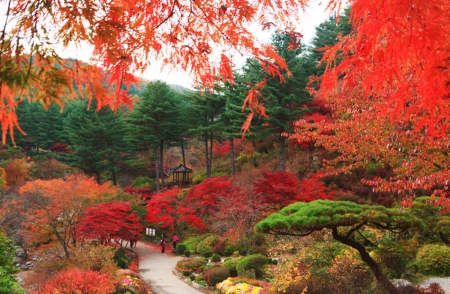 Autumn Garden - calm, autumn, trees, river, garden