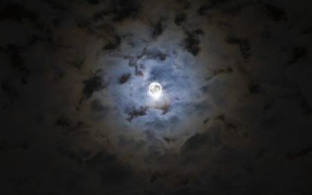 Halloween Moon - moon, halloween, dark, samhain