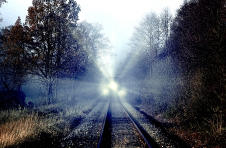 Last Train To Somewhere - Train, Light, Nature, Forests