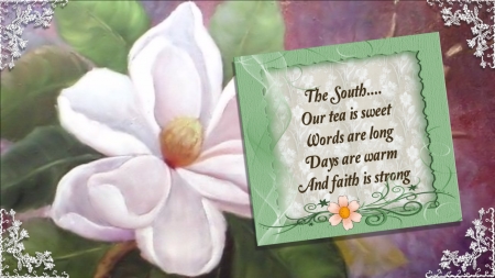 The South - text, magnolia, flower, frame