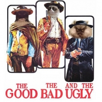 the good the bad the ugly