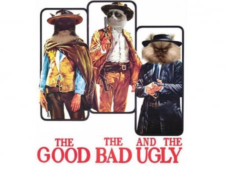 the good the bad the ugly - good, bad, ugly, cat