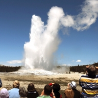 Old Faithful in Yellowstone National Park
