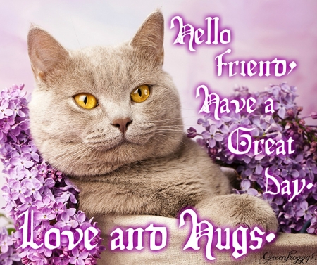 LOVE AND HUGS - CARD, LOVE, COMMENT, HUGS