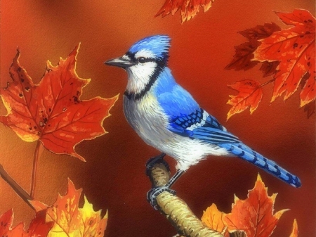 Colors of Fall - bird, paintings, autumn, colors, fall season, love four seasons, animals, leaves