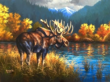 Bull Moose in Fall - sunlight, attractions in dreams, paintings, colors, fall season, bull moose, nature, autumn, deer, mountains, lakes, love four seasons