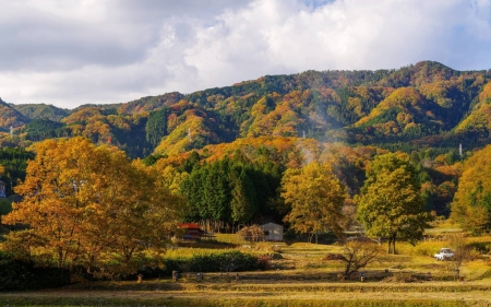 autumn forest - nature, fun, autumn, trees, cool, forest