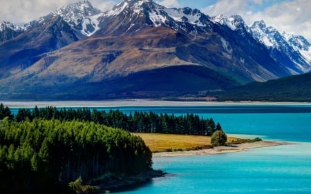 Lake Tekapo - fun, nature, lake, forest, cool, mountain