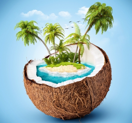 Coconut Island - coconut, fantasy, summer, blue, island, sea, creative, palm tree