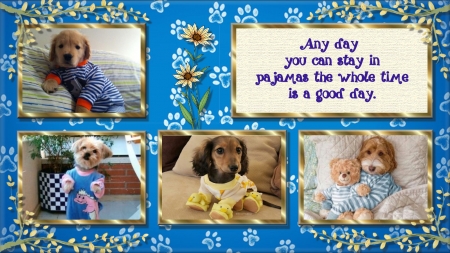 PAwJAMAS - dogs, pictures, pajamas, text