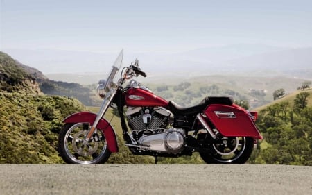 Harley Davidson - fun, motorcycle, cool, harley davidson