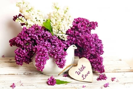 PURPLE AND WHITE LILACS - flowers, white, purple, lilacs