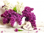 PURPLE AND WHITE LILACS