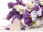 WHITE AND PURPLE LILACS