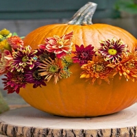 Pumpkin center piece