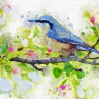 Spring Bird