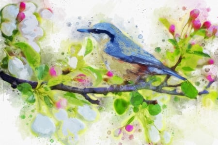 Spring Bird - flowers, spring, branches, bird