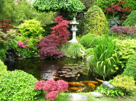 Japanese garden - nature, japanese, garden, other