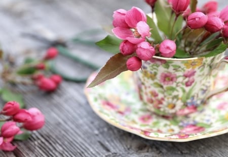 :) - flower, pretty, pink, lovely, cup