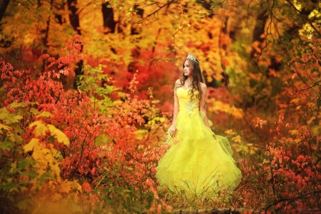 Autumn beauty - woman, autumn, girl, leaf, damian piorko, model, forest, yellow, orange, dress