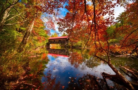 Covered bridge in autumn - tranquil, forest, reflection, lake, covered, branches, trees, beautiful, pond, colors, fall, colorful, autumn, serenity, foliage, bridge, park