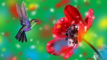 Hummingbird - humming0bird, fantasy, colibri, red, green, pasare, flower, luminos