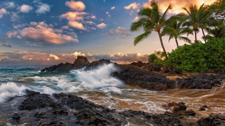 Crashing Waves - cove, beach, sea, sunrise, Firefox Persona theme, sunset, palm trees, waves, sky, rocks