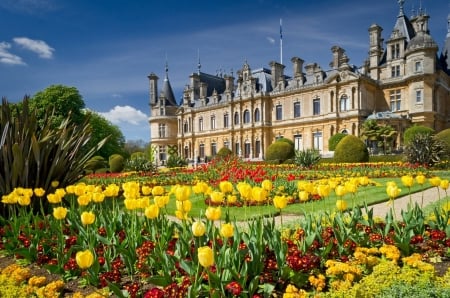 castle - architecture, cool, houses, flowers, fun