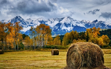 mountain background - forest, cool, field, fun, nature, mountain