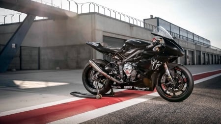 Triumph Daytona 765 - daytona 765, fun, triumph, cool, motorcycle