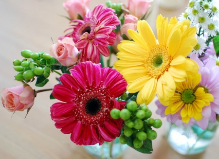 GERBERA FLOWERS - IMAGE, GERBERA, FLOWERS, PRETTY