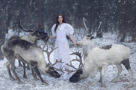 Winter fantasy - woman, craciun, girl, winter, fantasy, horns, christmas, model, white, reindeer, katerina plotnikova