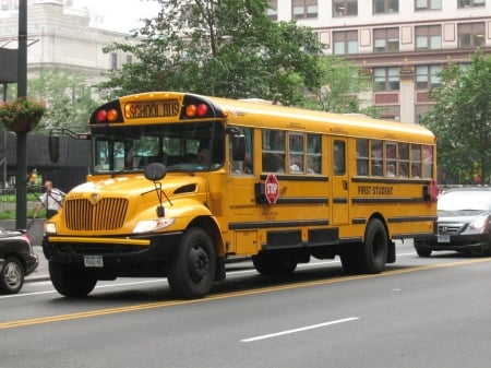 nyc school bus - bus, school, street, building