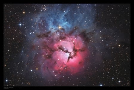 A Beautiful Trifid - space, fun, galaxies, stars, cool