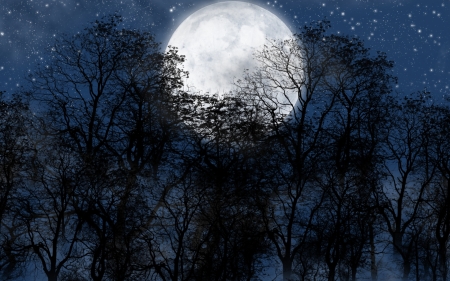 Full Moon - moon, trees, nature, night