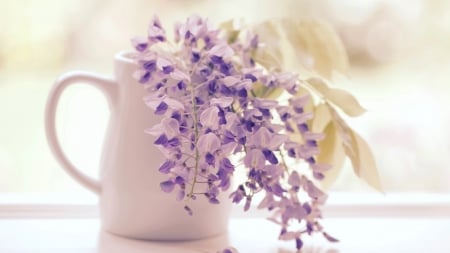 Still Life - flowers, container, still life, jar