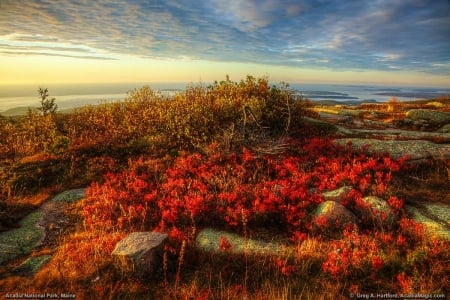 Cadillac Mountain, Acadia National Park, Maine - clouds, sunset, autumn, landscape, plants, colors, sky