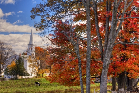 Fall Foliage in Peacham, Vermont - leaves, autumn, trees, church