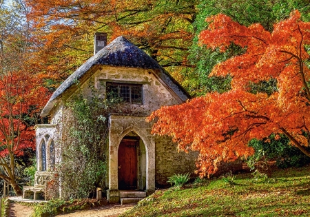 Gothic House in Autumn - colors, trees, nature, leaves