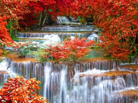 Autumn waterfall - branches, autumn, fall, cascades, forest, leaves, waterfall