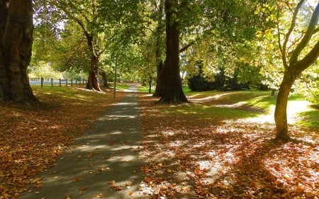 Autumn Park - park, autumn, path, trees