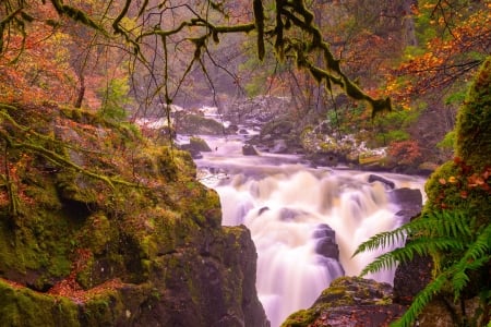 Black Linn Falls, Scotland - scotland, nature, waterfall, rocks