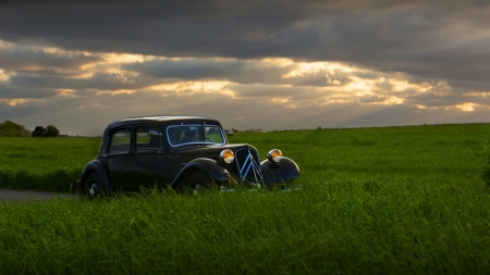 In Green Field - nature, sky, field, car