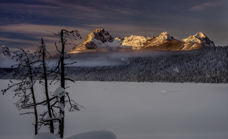 Winter Morning - snow, winter, nature, mountain