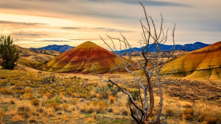 Desert - nature, sky, desert, landscape