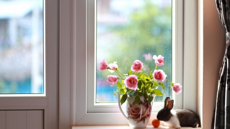 Still Life - roses, flowers, still life, window