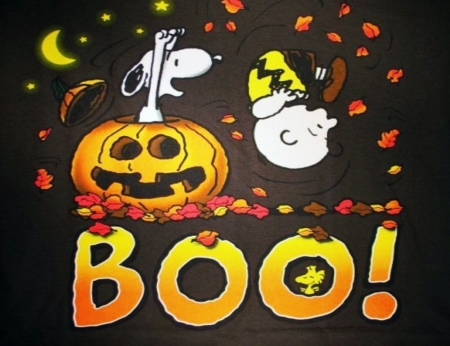 Snoopy Ichihan - Funny, Boy, Pumpkin, Dog, Charlie Brown