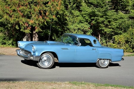 1955 Ford Thunderbird Convertible 292ci V8 3-Speed - v8, sports, thunderbird, ford, 3-speed, 292ci, car, muscle, old-timer, convertible