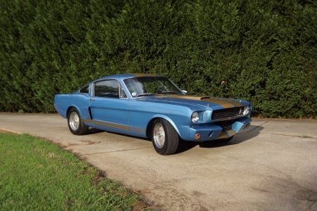 1965 Shelby Mustang GT350 H Fastback 289ci V8 4-Speed - Muscle, Car, 4-Speed, Mustang, Shelby, GT350 H, Fastback, Old-Timer, V8, 289ci