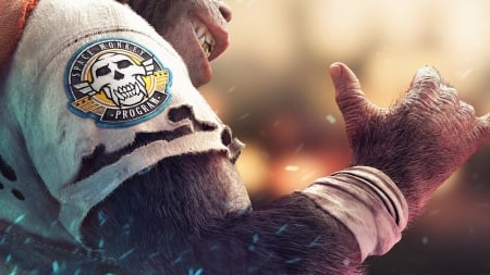 Beyond Good and Evil 2 - beyond, and, good, 2, evil